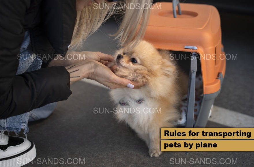 Transporting pets with Iranian flights